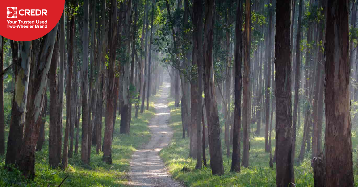 wayanad bike trip