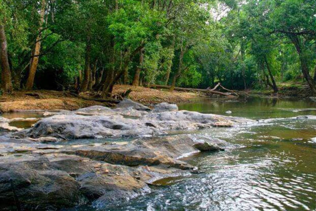 wayanad bike trip