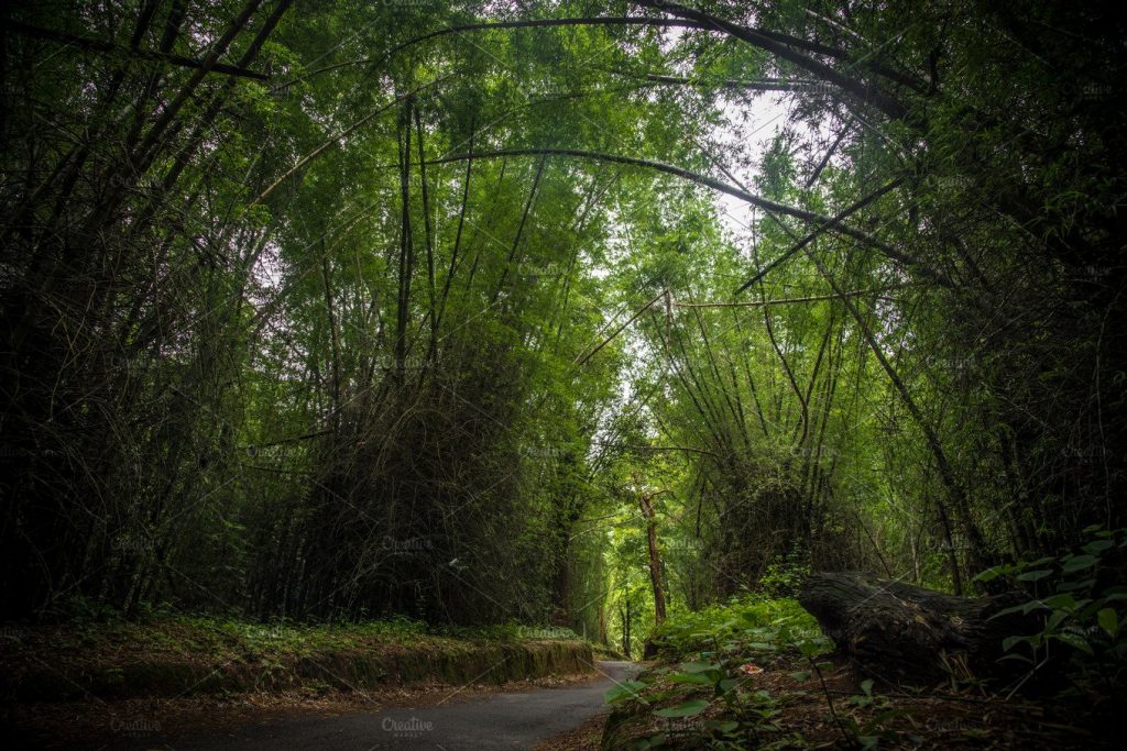 wayanad bike trip