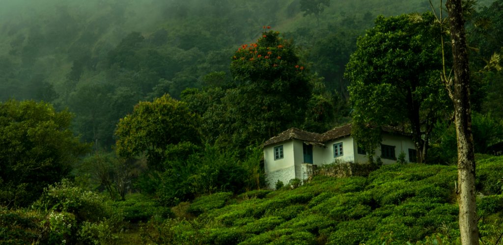 wayanad bike trip